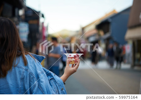 [Inuyama Castle Town] Tokai Tourist Attractions, Inuyama City, Aichi Prefecture 59975164