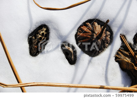 冬季風箏 59975499