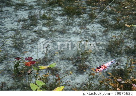 Also known as: Monet's Pond (Nendo Shrine) 59975623