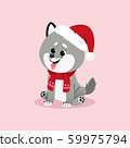 Christmas illustration with husky puppy in santas hat and with scarf. Vector. 59975794