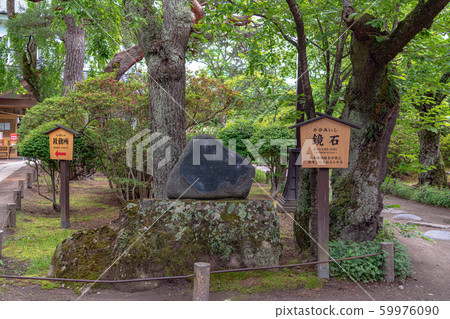 長野小森城鹿角 長野小森城鹿角 59976090