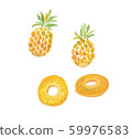 pineapple  59976583