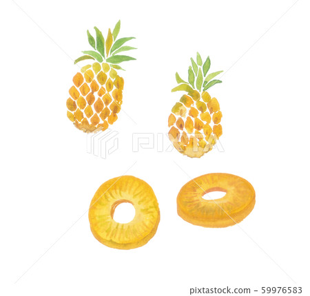 pineapple  59976583