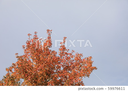 Autumnal weather Autumnal weather 59976611