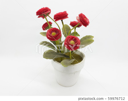 Red Flower, bloom, blossom 59976712