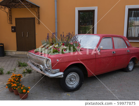 installation of flowers on the hood of the car installation of flowers on the hood of the car 59977875