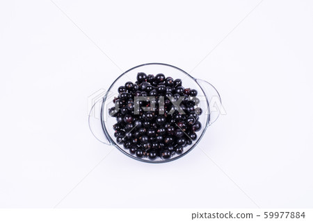 black currant 59977884