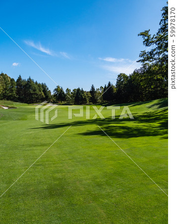 Golf course fairway 59978170
