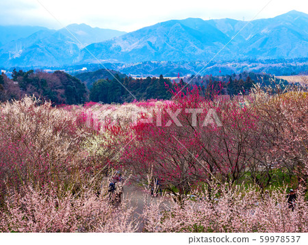 Inabe City Bairin Park 59978537