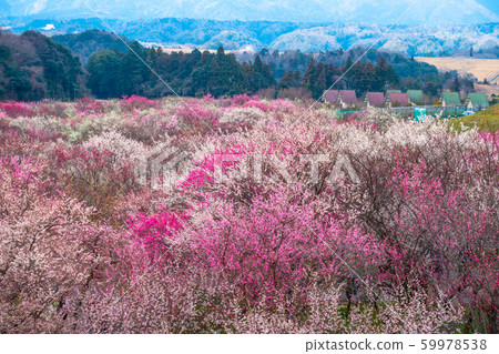 Inabe City Bairin Park Inabe City Bairin Park 59978538