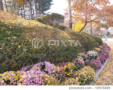 韓國的風景 59978889