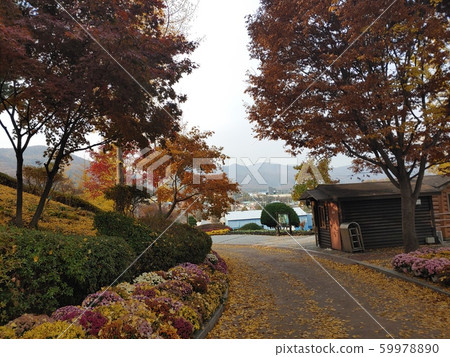 韓國的風景 59978890