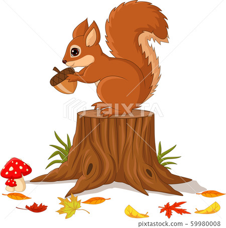 Cartoon funny squirrel holding pine cone on tree stump Cartoon funny squirrel holding pine cone on tree stump 59980008