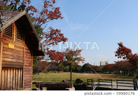 朝霞中央公園 朝霞中央公園 59980176