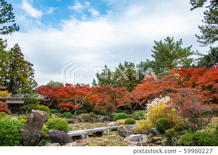 Public exhibition in autumn of Moroto Garden in Kuwana, Mie Prefecture Public exhibition in autumn of Moroto Garden in Kuwana, Mie Prefecture 59980227