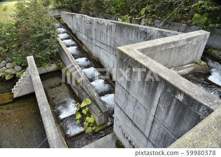 Stepped fishway Stepped fishway 59980378