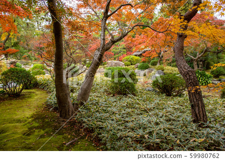 Autumn public view of Moroto Garden in Kuwana, Mie Prefecture 59980762