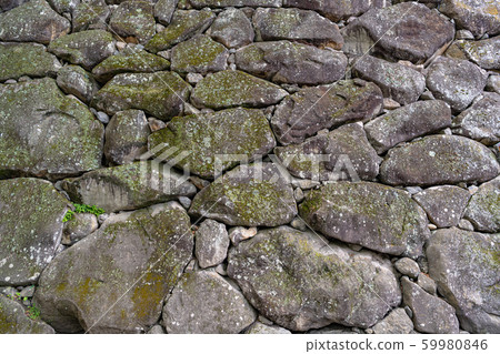 背景材料 59980846