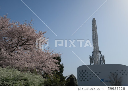 春季博覽城 59983226