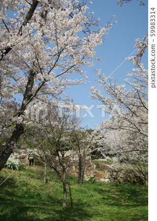 Expo Memorial Park-Spring Spring- 59983314