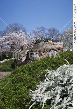 世博紀念公園-春天春天- 59983324