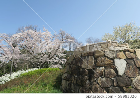 世博紀念公園-春天春天- 59983326