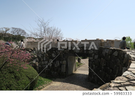 世博紀念公園-春天春天- 59983333