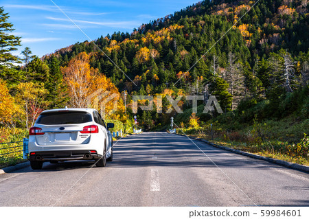 "Nagano Prefecture" drive image-autumn leaves drive 59984601