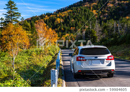 "Nagano Prefecture" drive image-autumn leaves drive 59984605