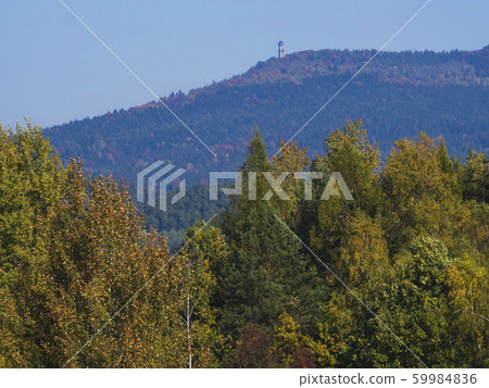 meadow with autumn colorful forest and trees and meadow with autumn colorful forest and trees and 59984836