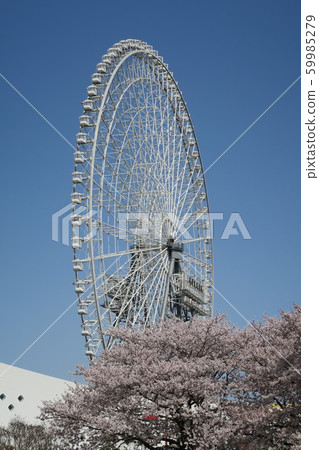 春季博覽城 59985279