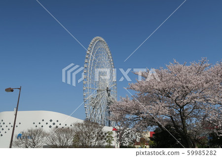 Spring Expo City 59985282