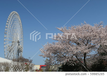 Spring Expo City 59985285