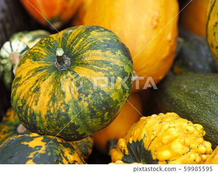 close up green red orange and yellow decorative close up green red orange and yellow decorative 59985595