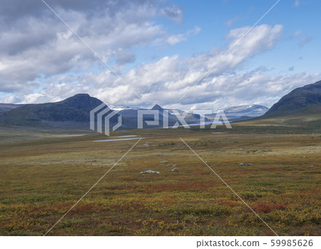 Lapland landscape with Lulealven river, snow 59985626