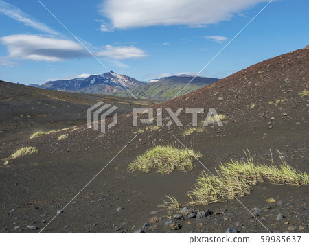 Icelandic black and red lava desert landscape with 59985637