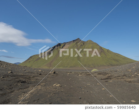 Volcanic desert landscape with green Hattafell 59985640