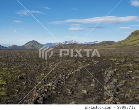 Icelandic lava desert landscape with footpath of 59985712