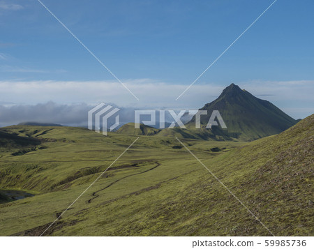 Volcanic landscape with footpath of Laugavegur 59985736