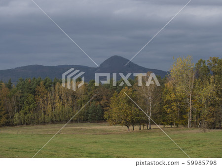 meadow with autumn colorful forest and trees and 59985798