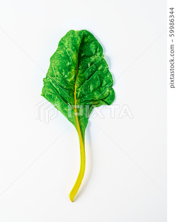 swiss rainbow chard isolated on white swiss rainbow chard isolated on white 59986344