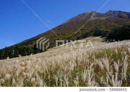 Daisen, the highest mountain in the Chugoku region of Tottori Prefecture: The Mizumizu Plateau 59986653