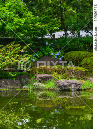 Idyllic landscape of Japanese garden Idyllic landscape of Japanese garden 59986738