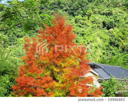 新竹縣寶山北埔峨嵋湖 59986863