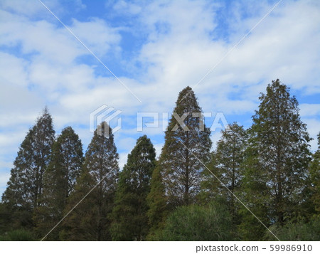 新竹縣寶山北埔峨嵋湖 59986910
