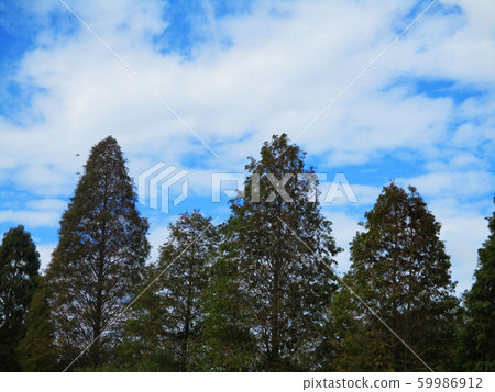 Wuhu, Beipu, Baoshan, Hsinchu County Wuhu, Beipu, Baoshan, Hsinchu County 59986912