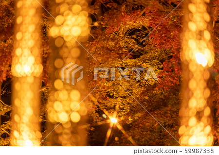 這麼多竹燈 59987338