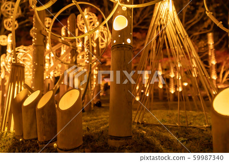 So many bamboo lights So many bamboo lights 59987340