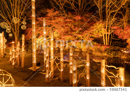 So many bamboo lights 59987341