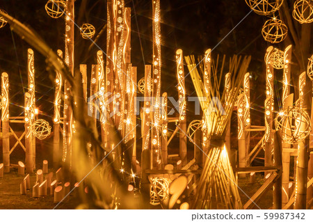 So many bamboo lights 59987342